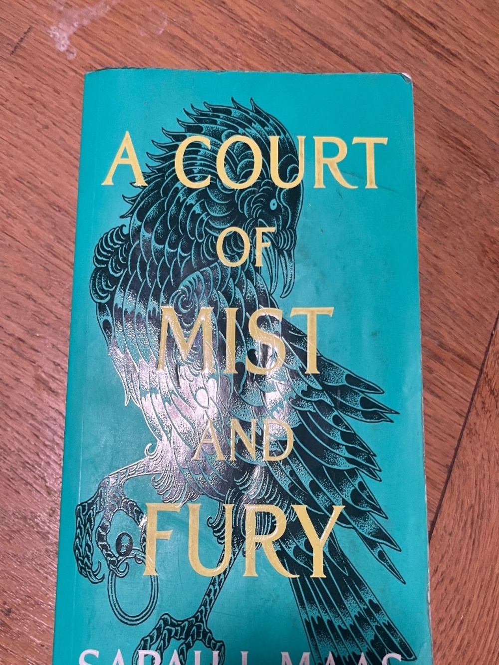 A court of mist and fury